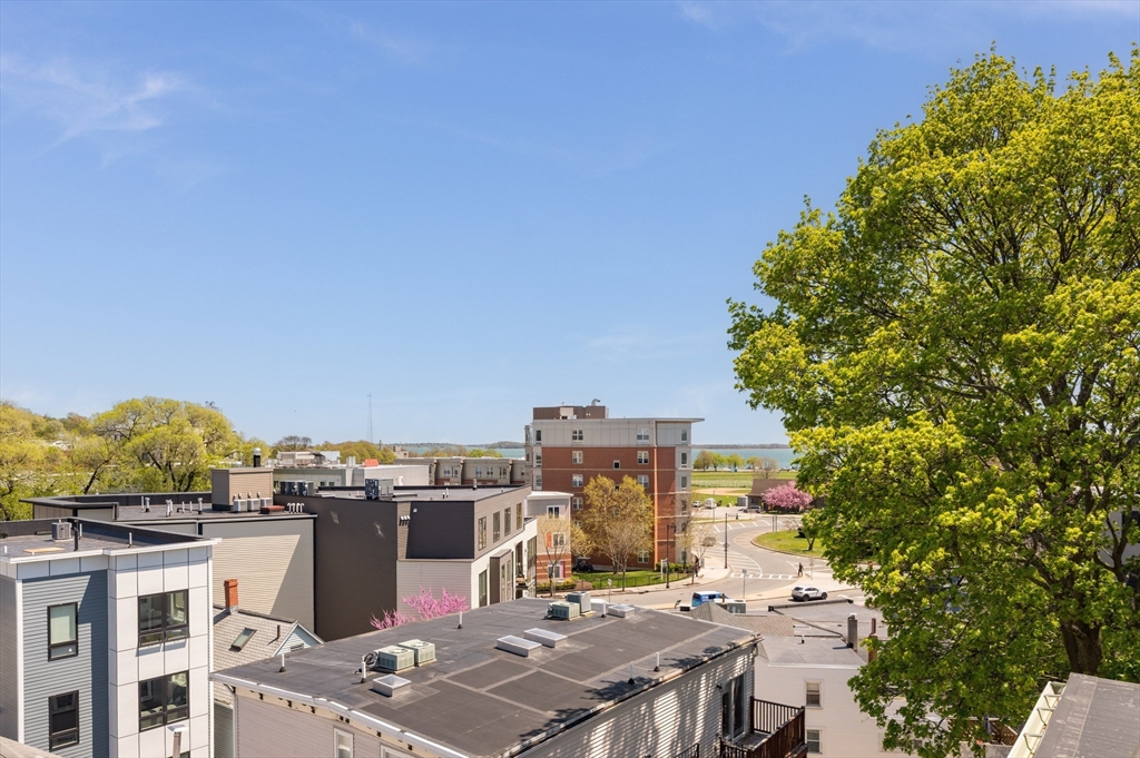 17 Vinton Street #5, Boston, MA, 17 Vinton Street #5, Boston, MA Photo #21