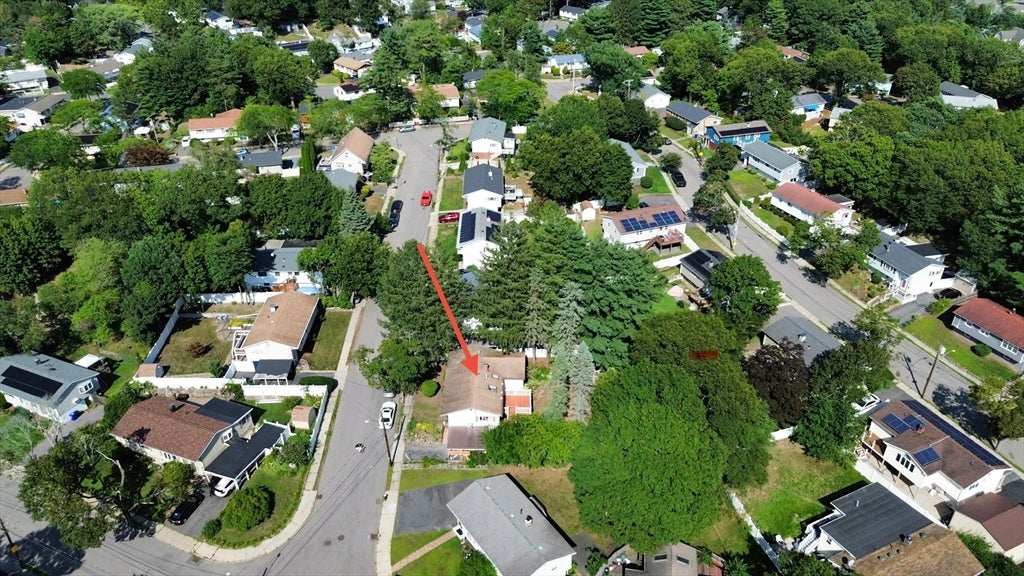 1 Belnap Rd, Boston, MA Photo #28