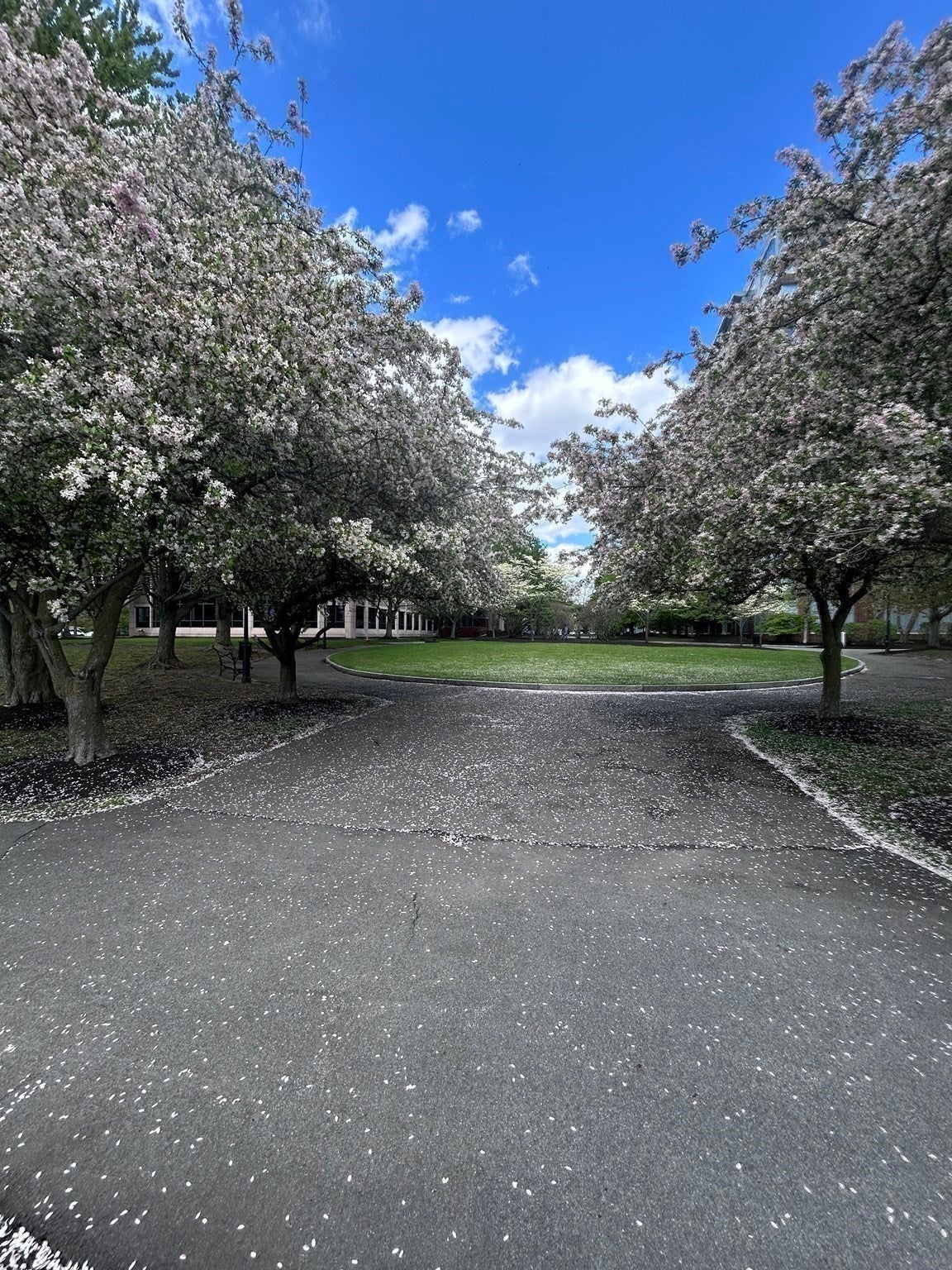 100 Station Landing #207, Medford, MA, 100 Station Landing #207, Medford, MA Photo #39
