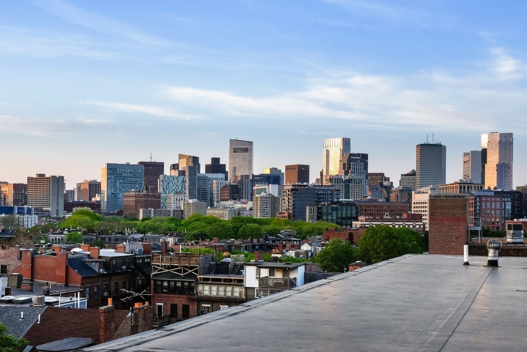 1395 Washington Street #305, Boston, MA, 1395 Washington Street #305, Boston, MA Photo #10