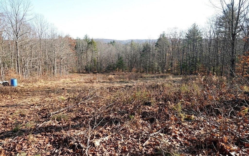 42 Woronoco Rd