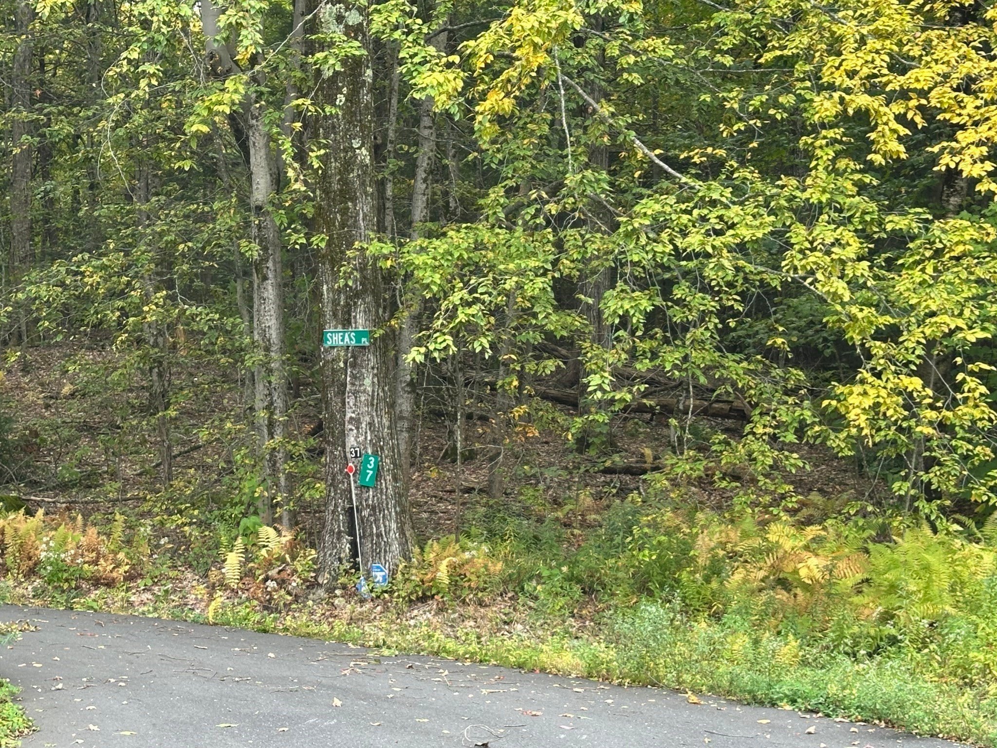 42 Woronoco Rd