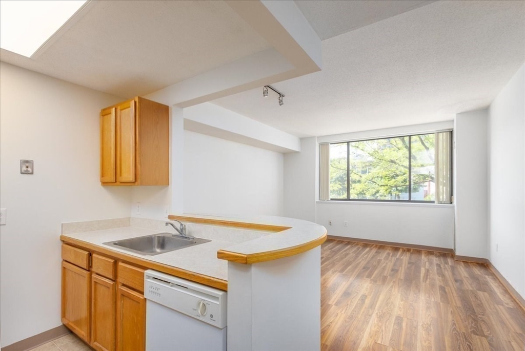 169 Monsignor O'brien Hwy 206