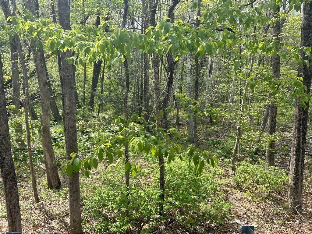 Photo 1 of 5 — 0 Parker Rd, Lancaster, MA 01561