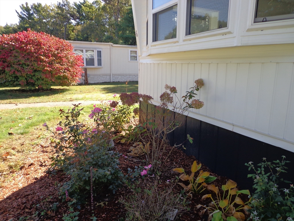 6 Deerhill Lane