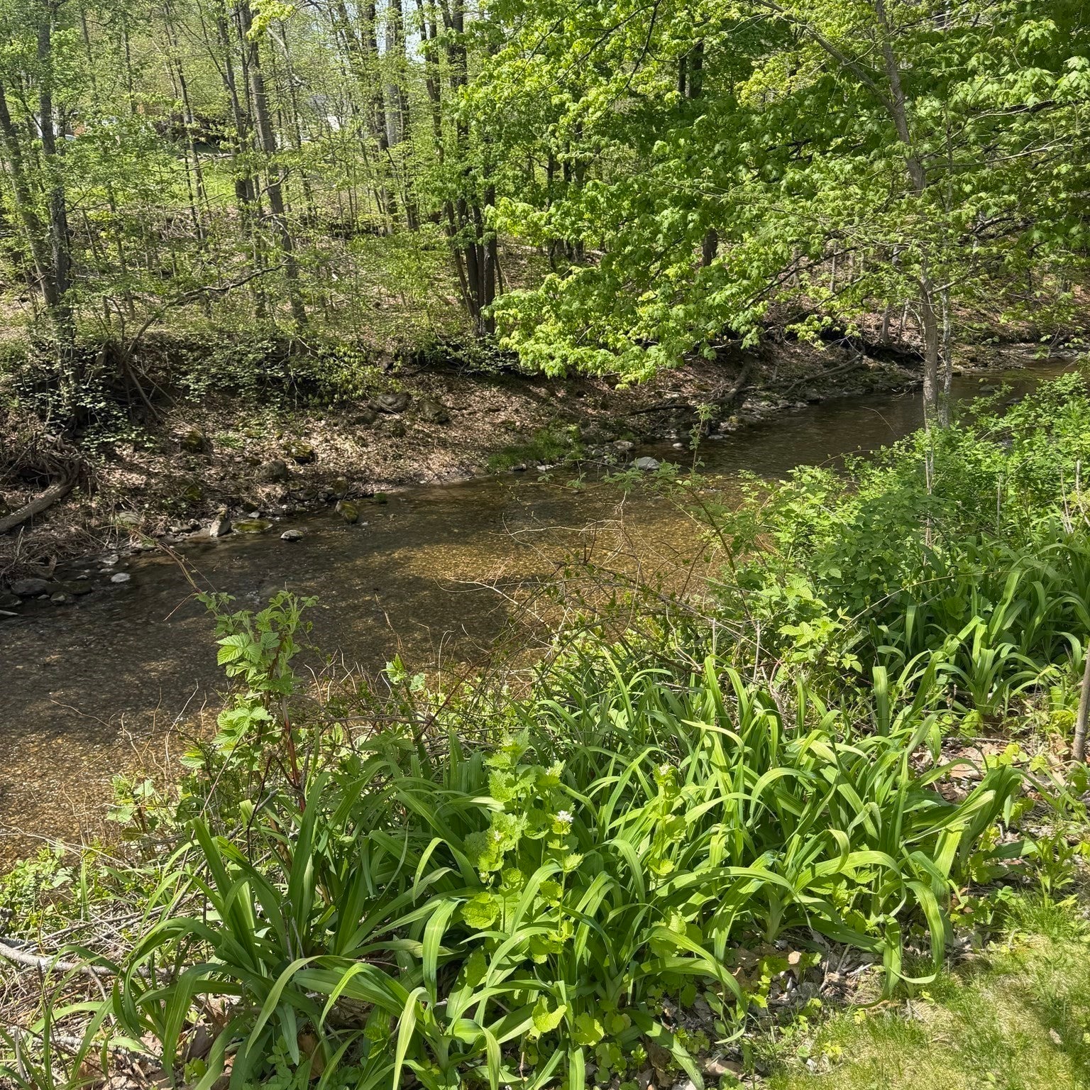 87 Ashfield Rd, Conway, MA, 87 Ashfield Rd, Conway, MA Photo #40