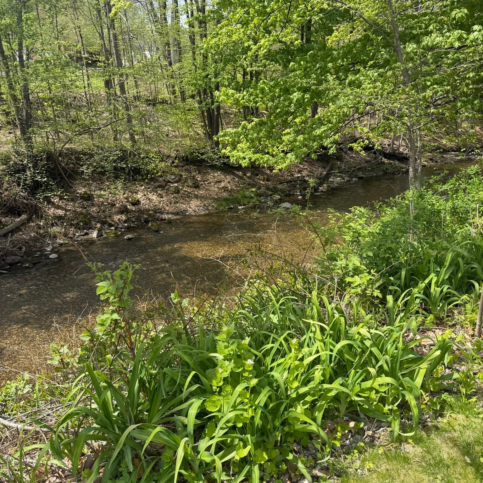 87 Ashfield Rd, Conway, MA, 87 Ashfield Rd, Conway, MA Photo #36