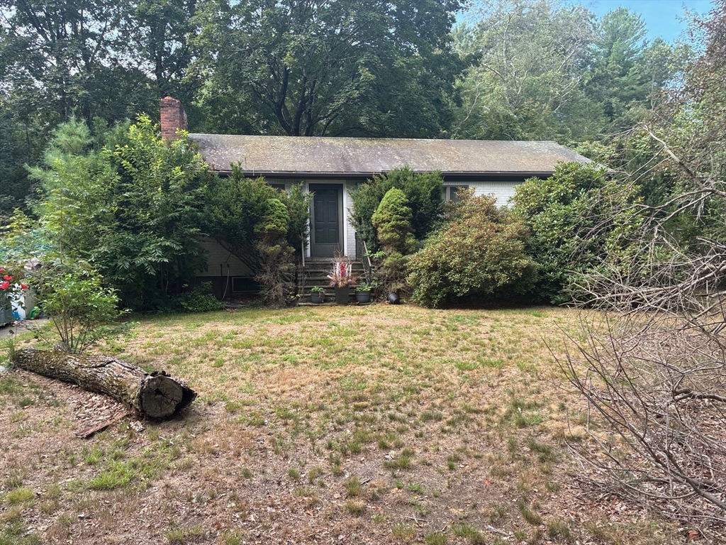 62 Carlisle Rd