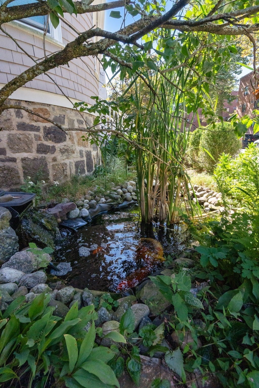 89-91 St. Paul St #2, Brookline, MA Photo #36