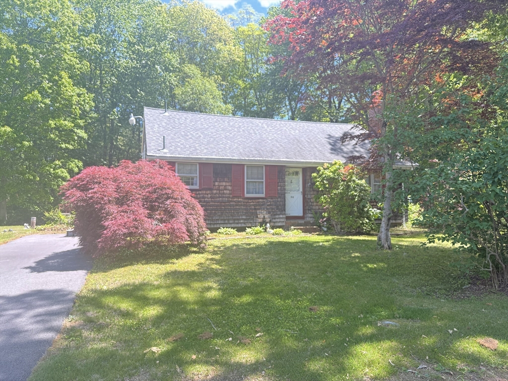 50 Progressive Ave