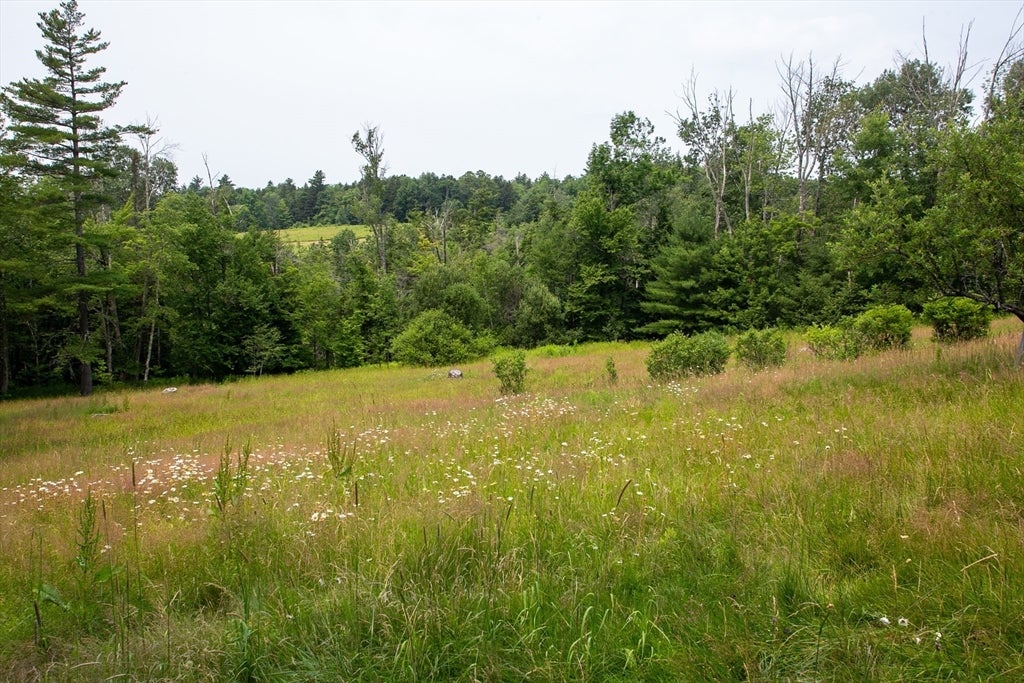 154 Leshure Rd, Rowe, MA, 154 Leshure Rd, Rowe, MA Photo #28