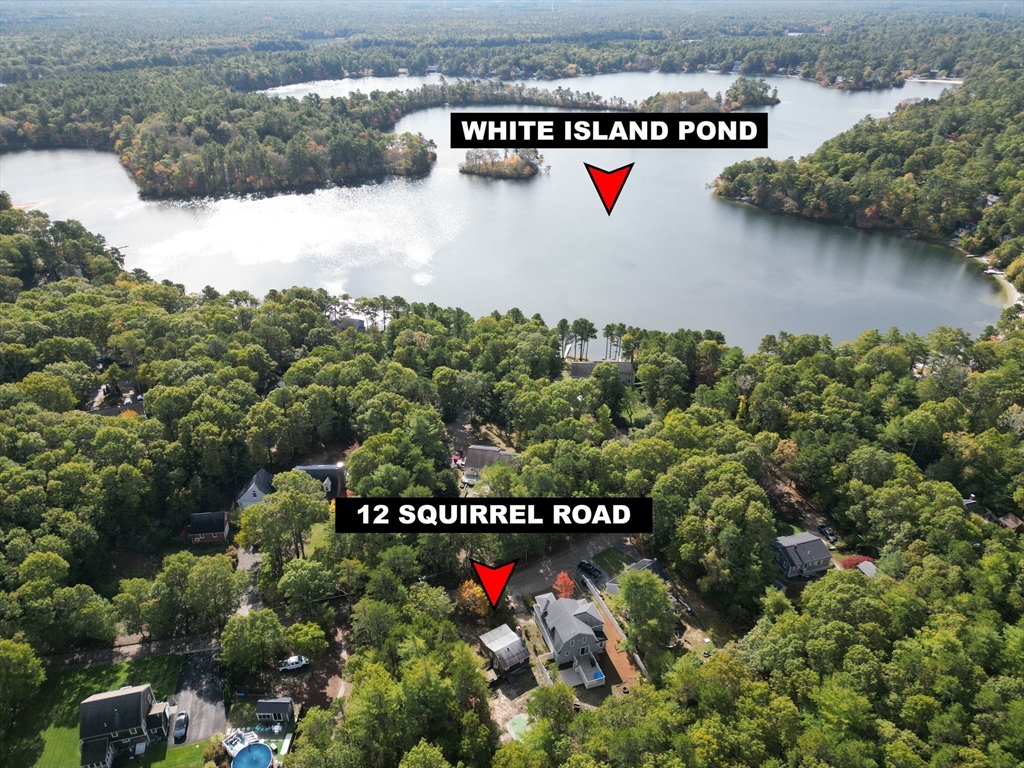 12 Squirrel Road