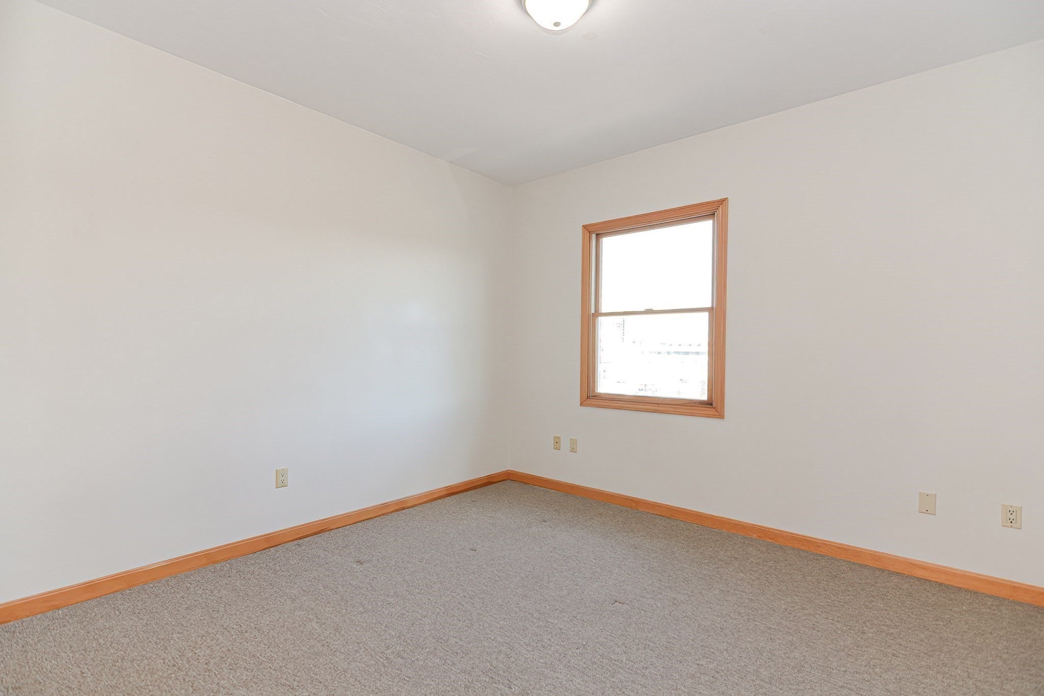 12 Rena ST, Boston, MA, 12 Rena ST, Boston, MA Photo #14