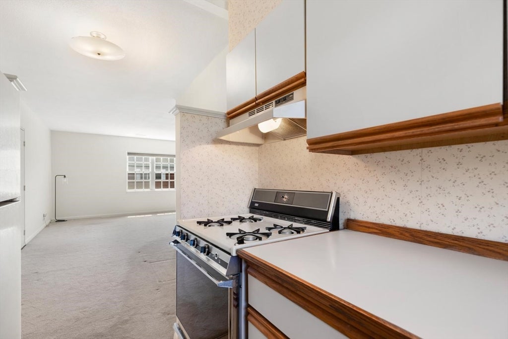 173 Lake Shore Rd #3, Boston, MA, 173 Lake Shore Rd #3, Boston, MA Photo #18