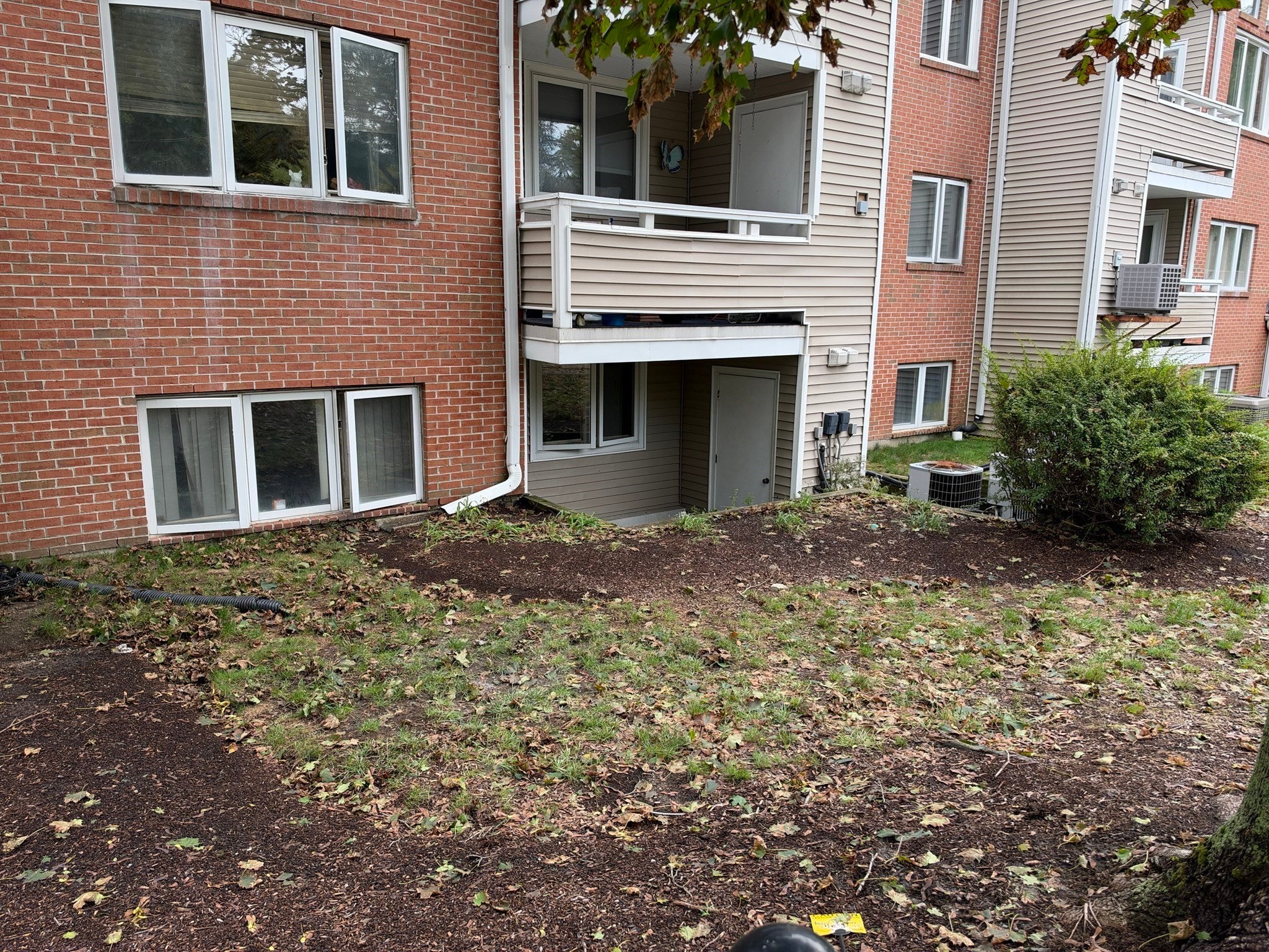 20 Chapman St 102