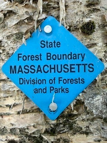 331 Ed Clark Rd, Colrain, MA, 331 Ed Clark Rd, Colrain, MA Photo #31
