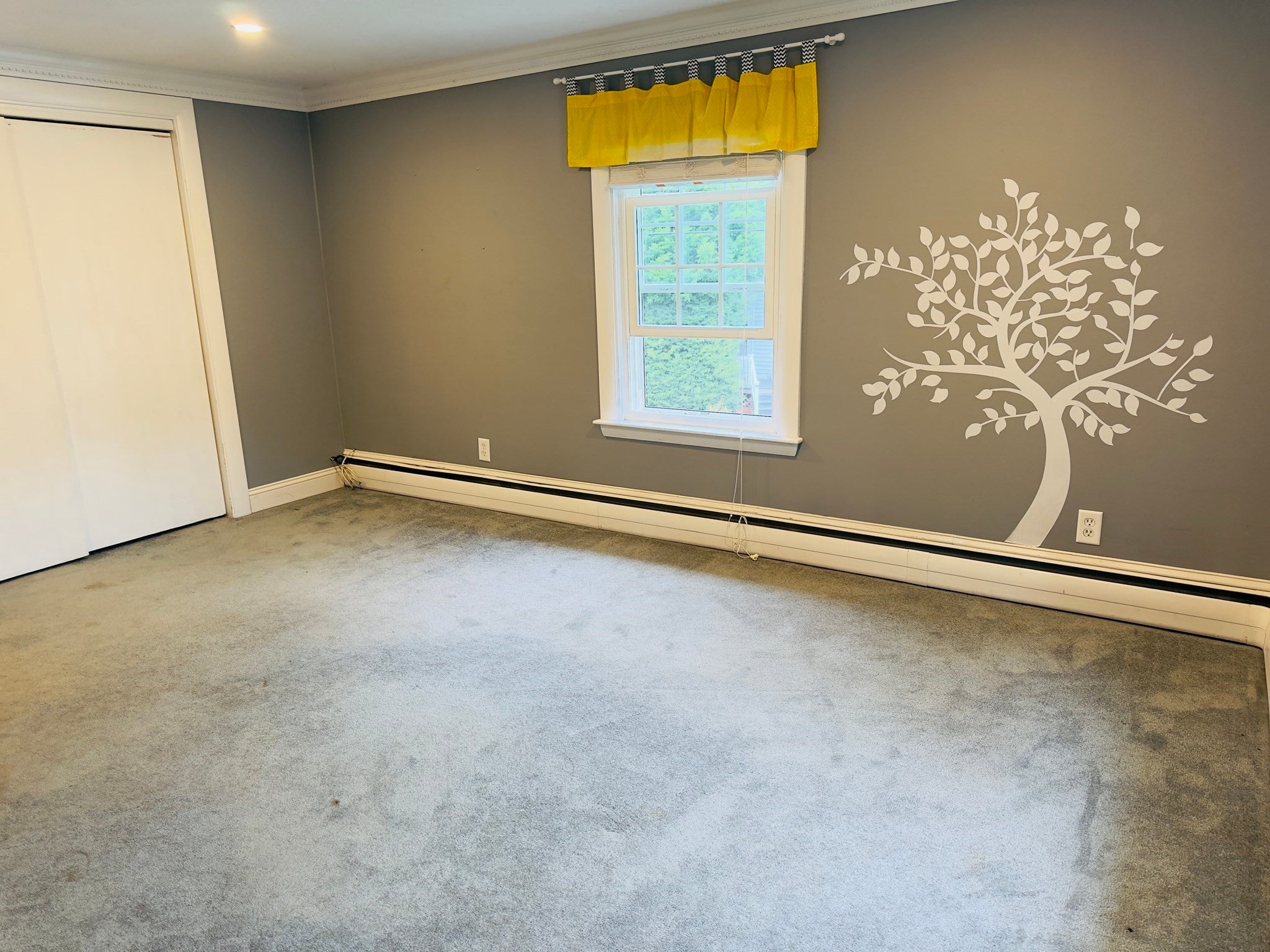 118 Woodard Ave, Brockton, MA Photo #13