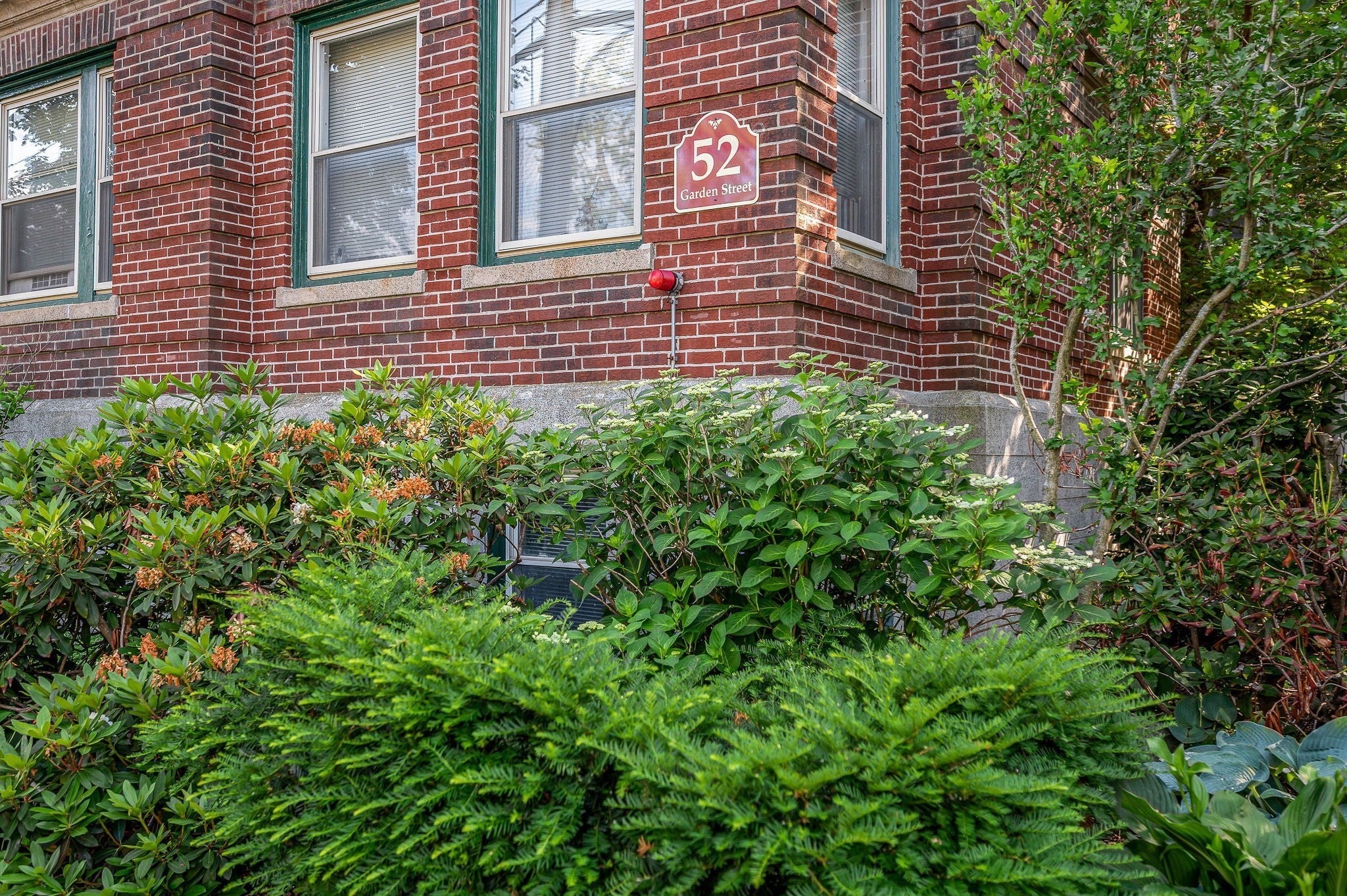 52 Garden St #B2, Cambridge, MA, 52 Garden St #B2, Cambridge, MA Photo #31