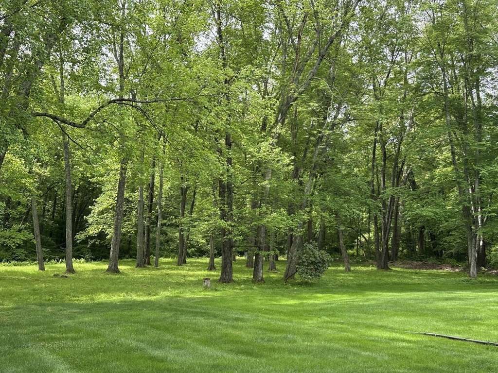 65 River Park Dr