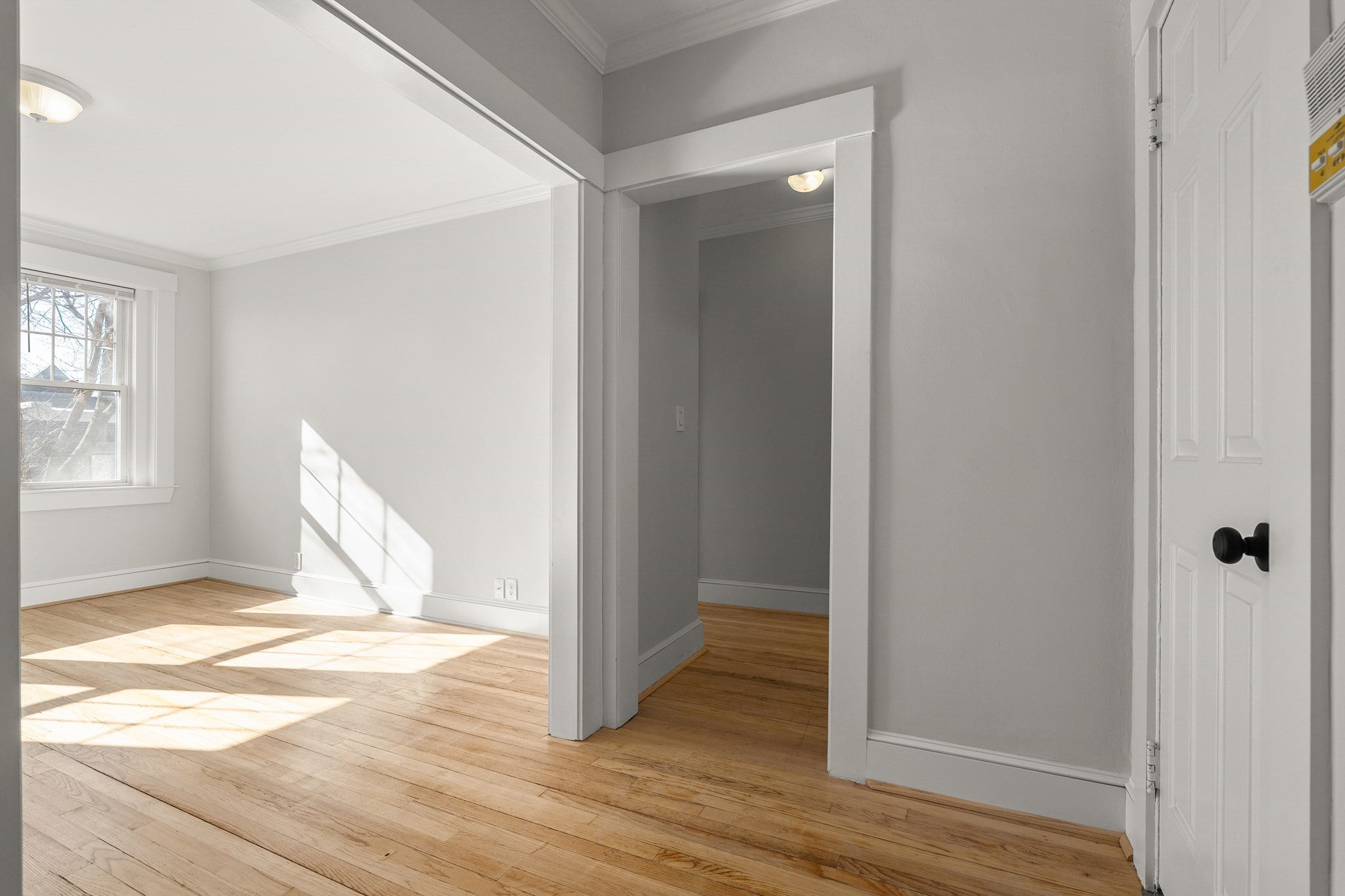 56-58 Selkirk Road