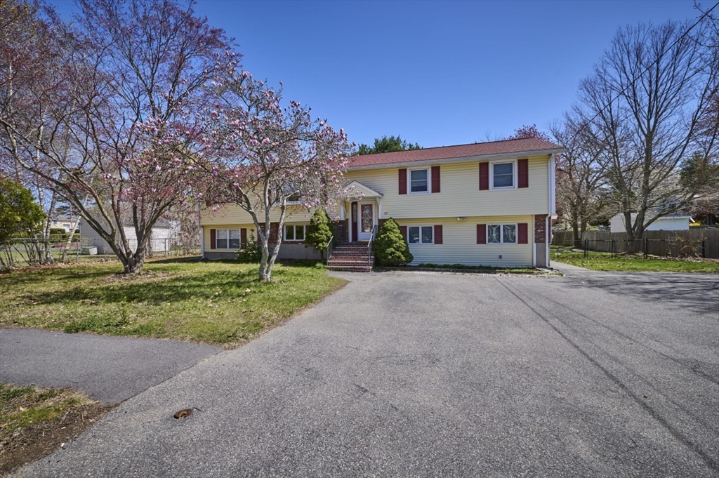 37 Locust St 1