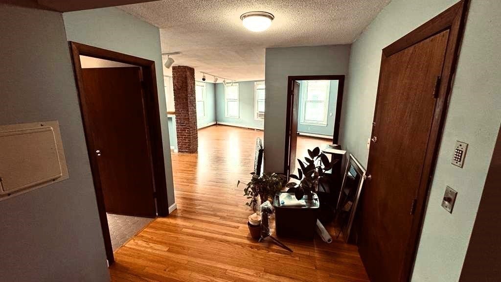 62 River St #3, Cambridge, MA, 62 River St #3, Cambridge, MA Photo #8