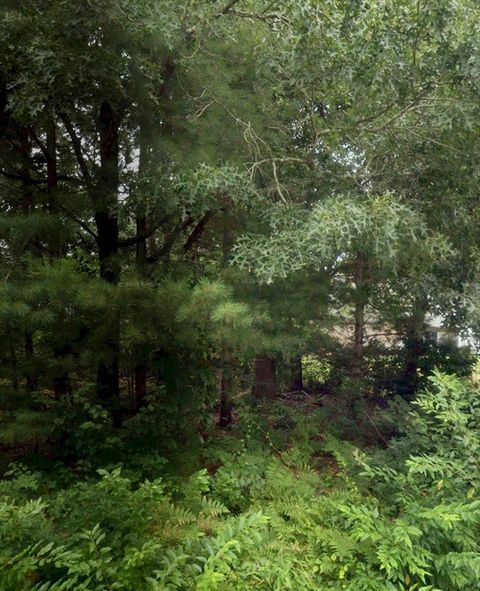 59 Park Wareham MA 02538