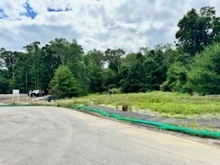 18 York Dr