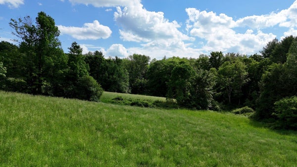 0 BROOKS POND RD (ENTIRE PARCEL), SPENCER, MA 01562 - Image ce203b68b0dceefdbf20ba1d642733fc/2398377445