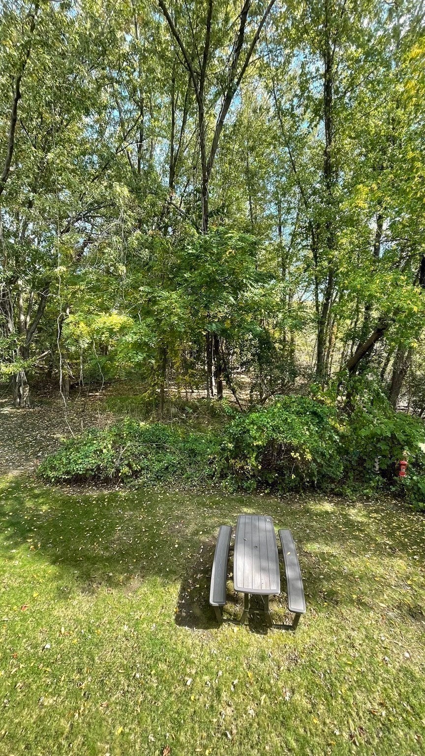 55 Clough Rd #55, Dedham, MA Photo #16