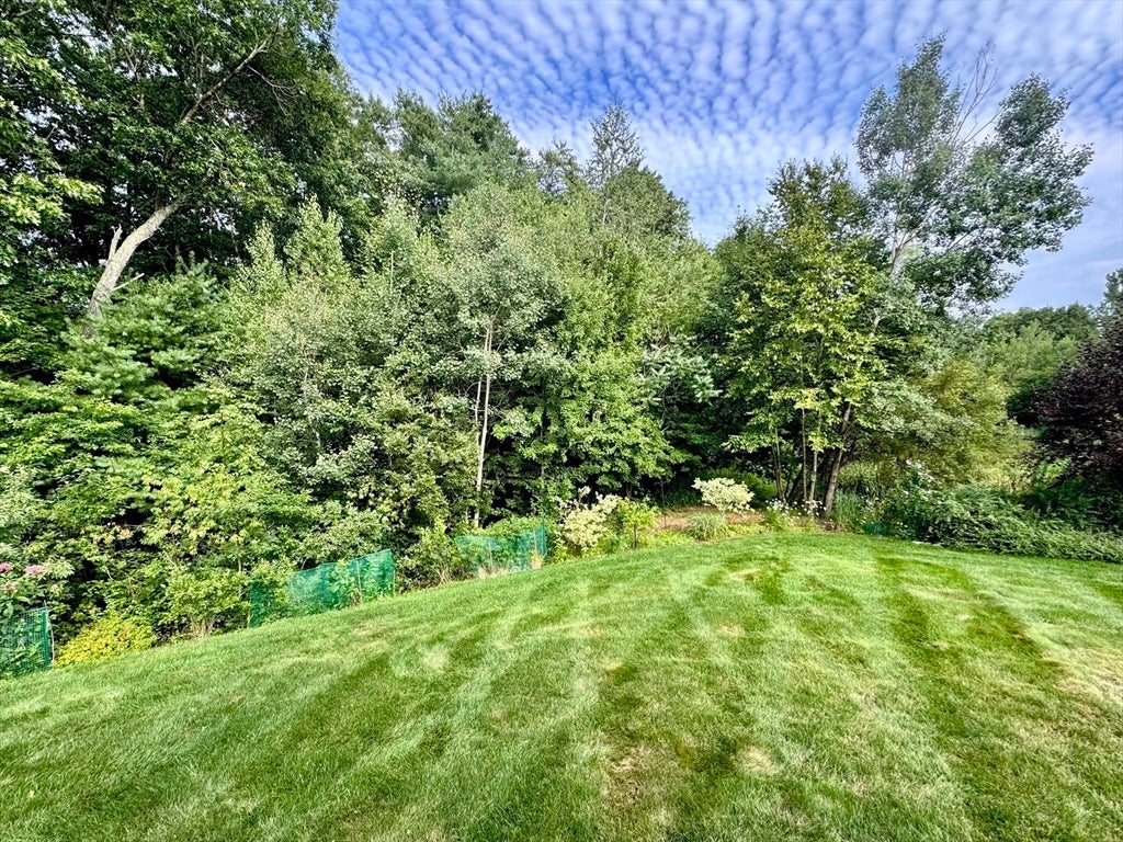 12 Copley Cir #12, Enfield, CT, 12 Copley Cir #12, Enfield, CT Photo #39