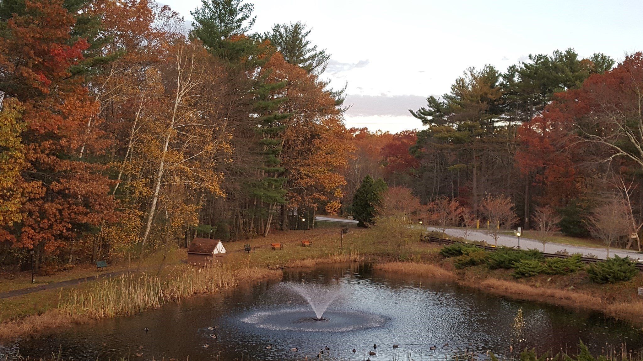 C26 Scotty Hollow Dr #C26, Chelmsford, MA, C26 Scotty Hollow Dr #C26, Chelmsford, MA Photo #29