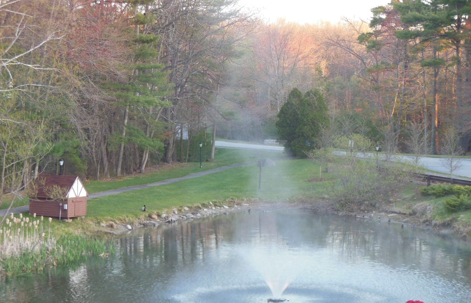 C26 Scotty Hollow Dr #C26, Chelmsford, MA, C26 Scotty Hollow Dr #C26, Chelmsford, MA Photo #28