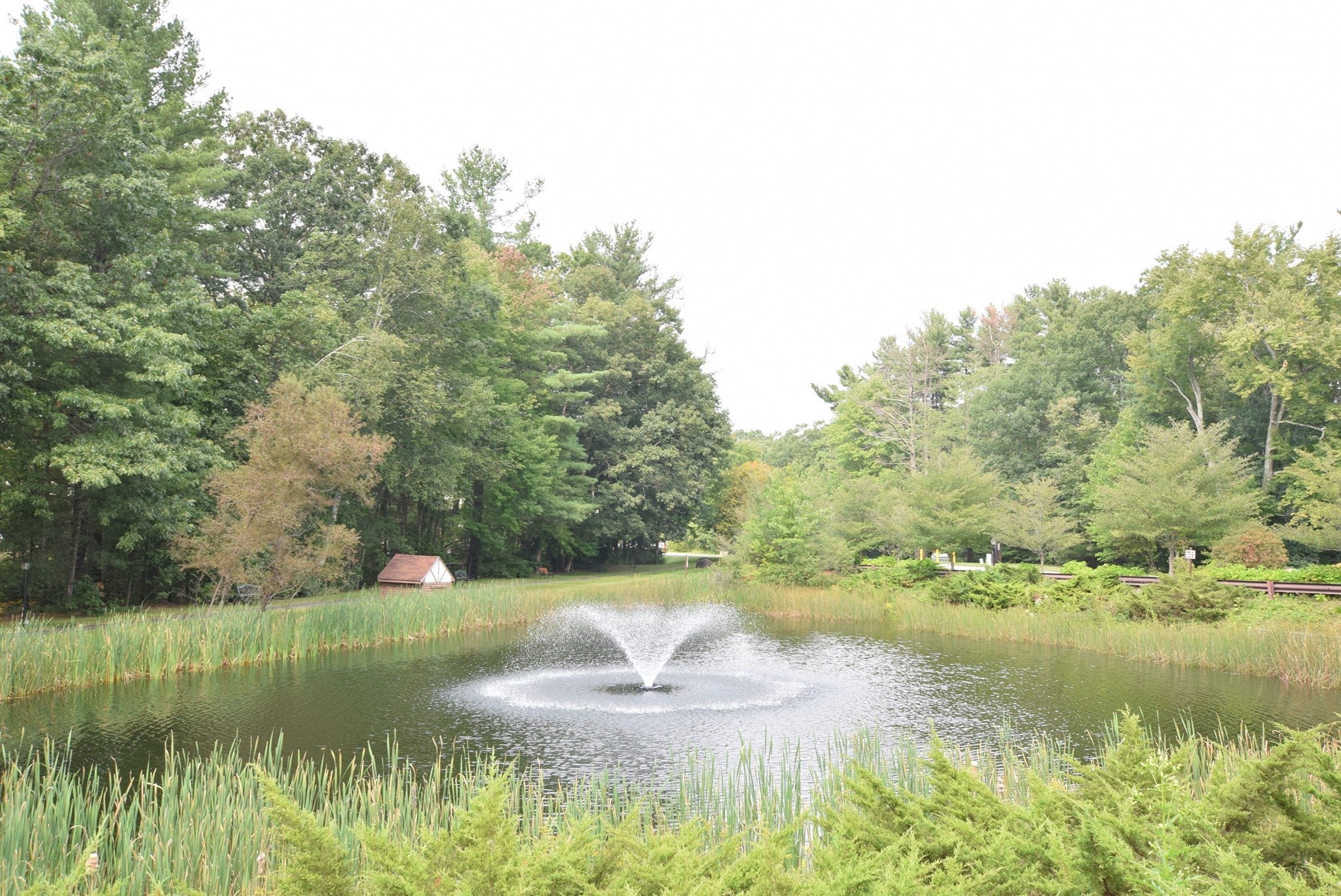 C26 Scotty Hollow Dr #C26, Chelmsford, MA, C26 Scotty Hollow Dr #C26, Chelmsford, MA Photo #27