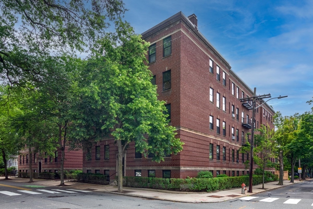 42 Linnaean Street 12