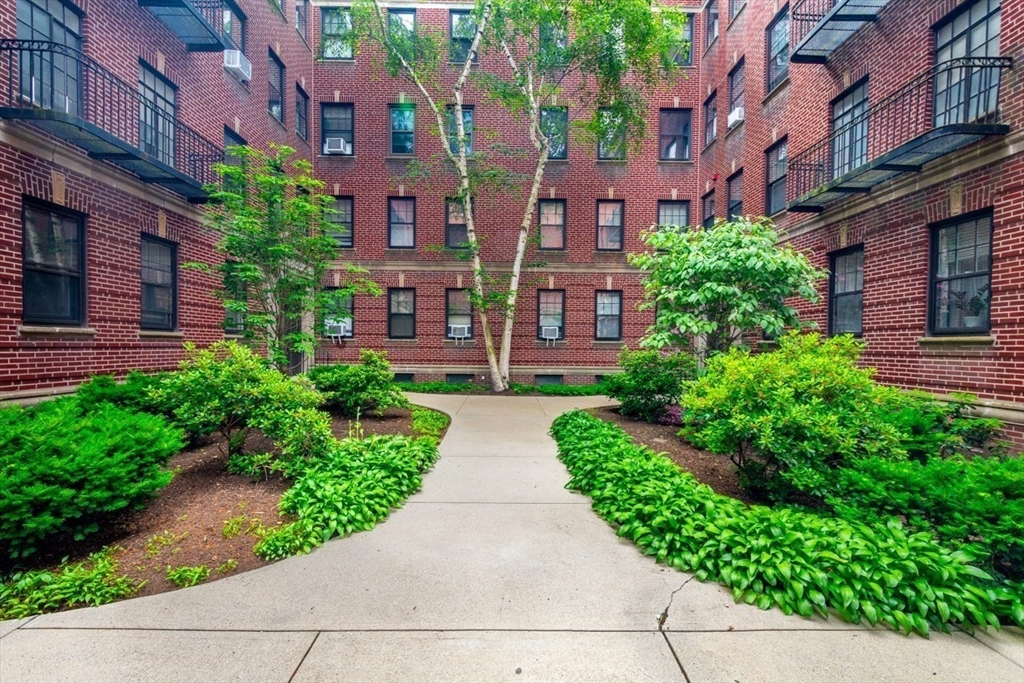 42 Linnaean Street 12