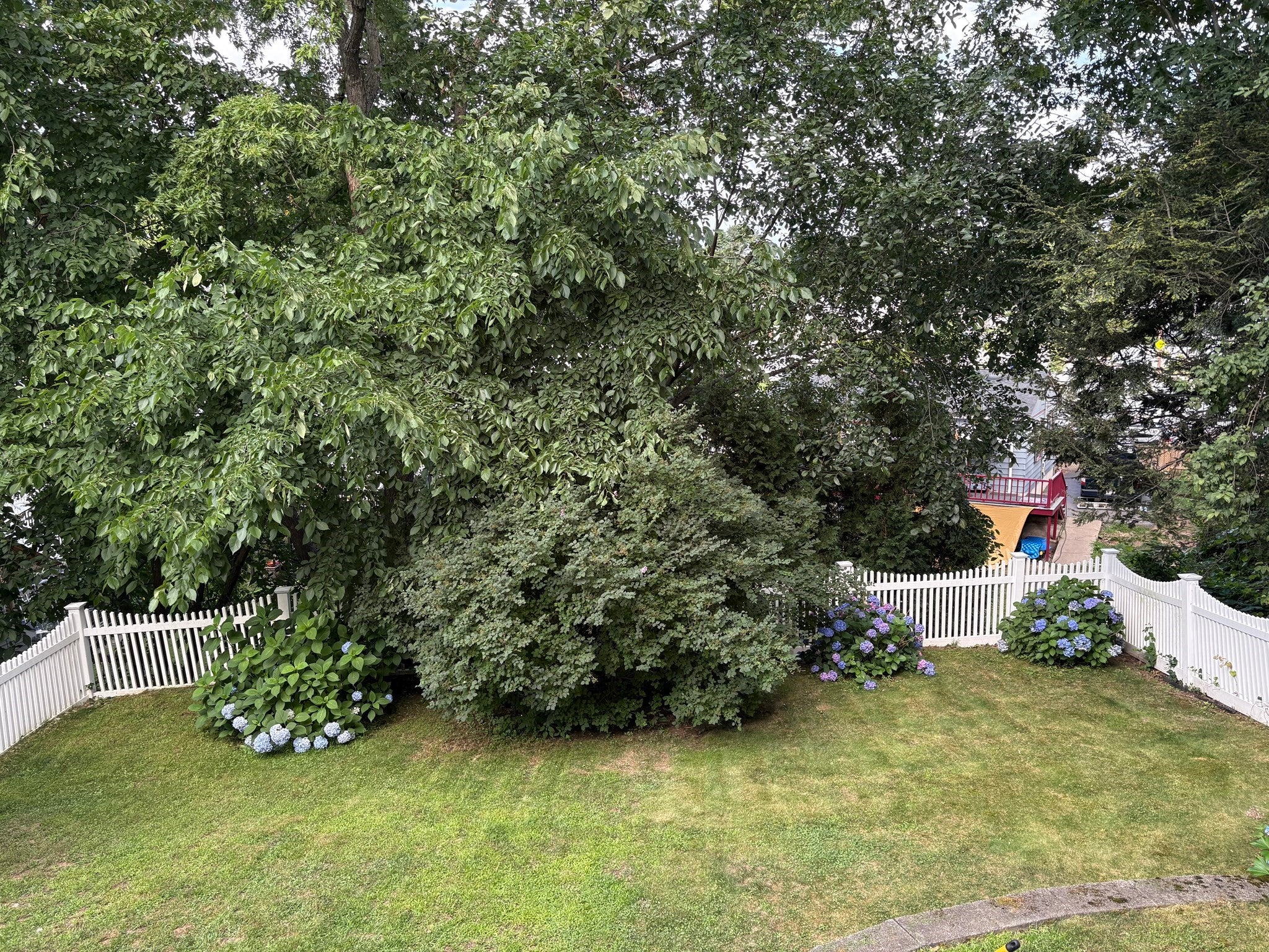 103 Eastwood Circuit #1, Boston, MA Photo #23