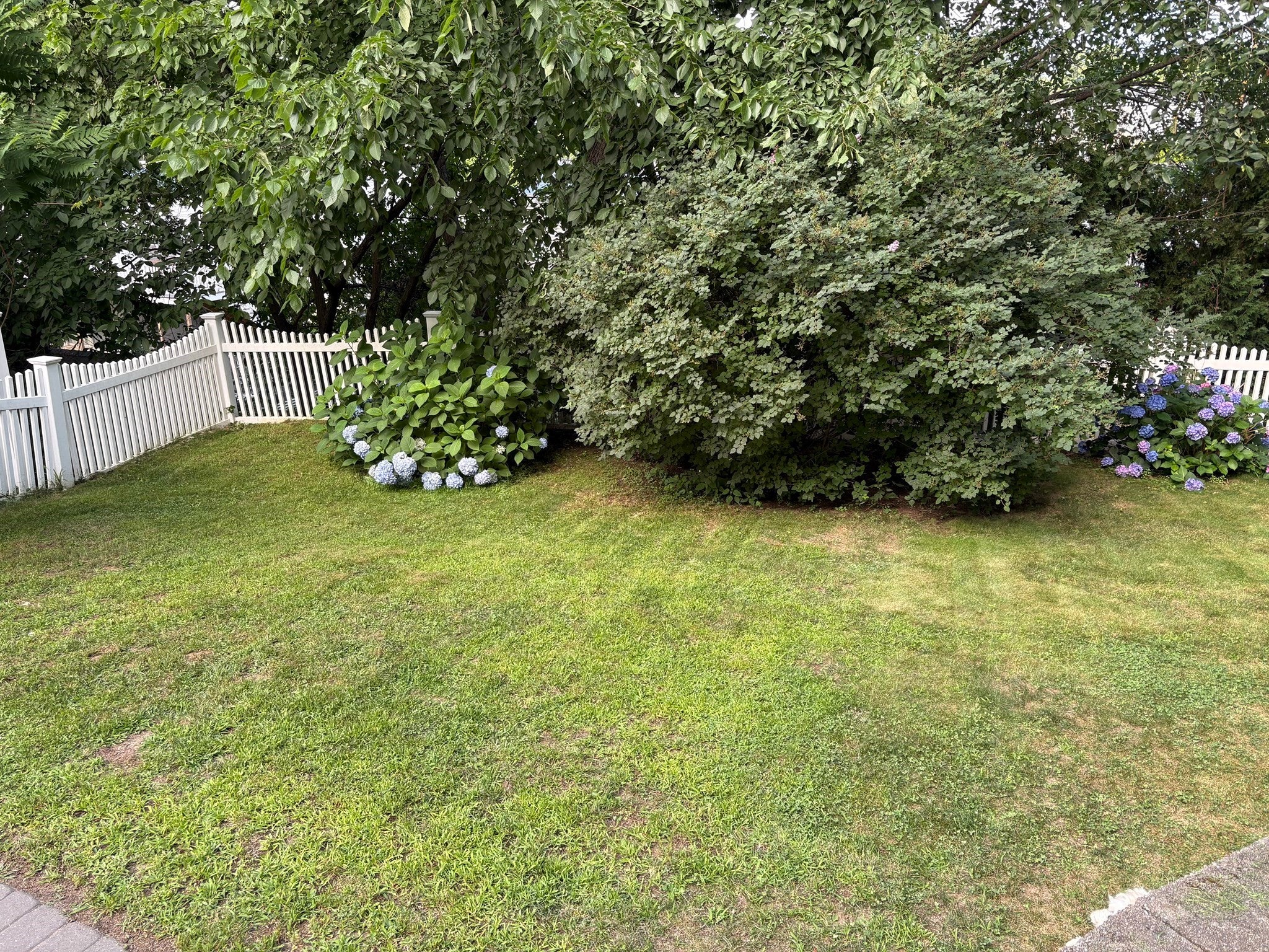 103 Eastwood Circuit #1, Boston, MA Photo #21