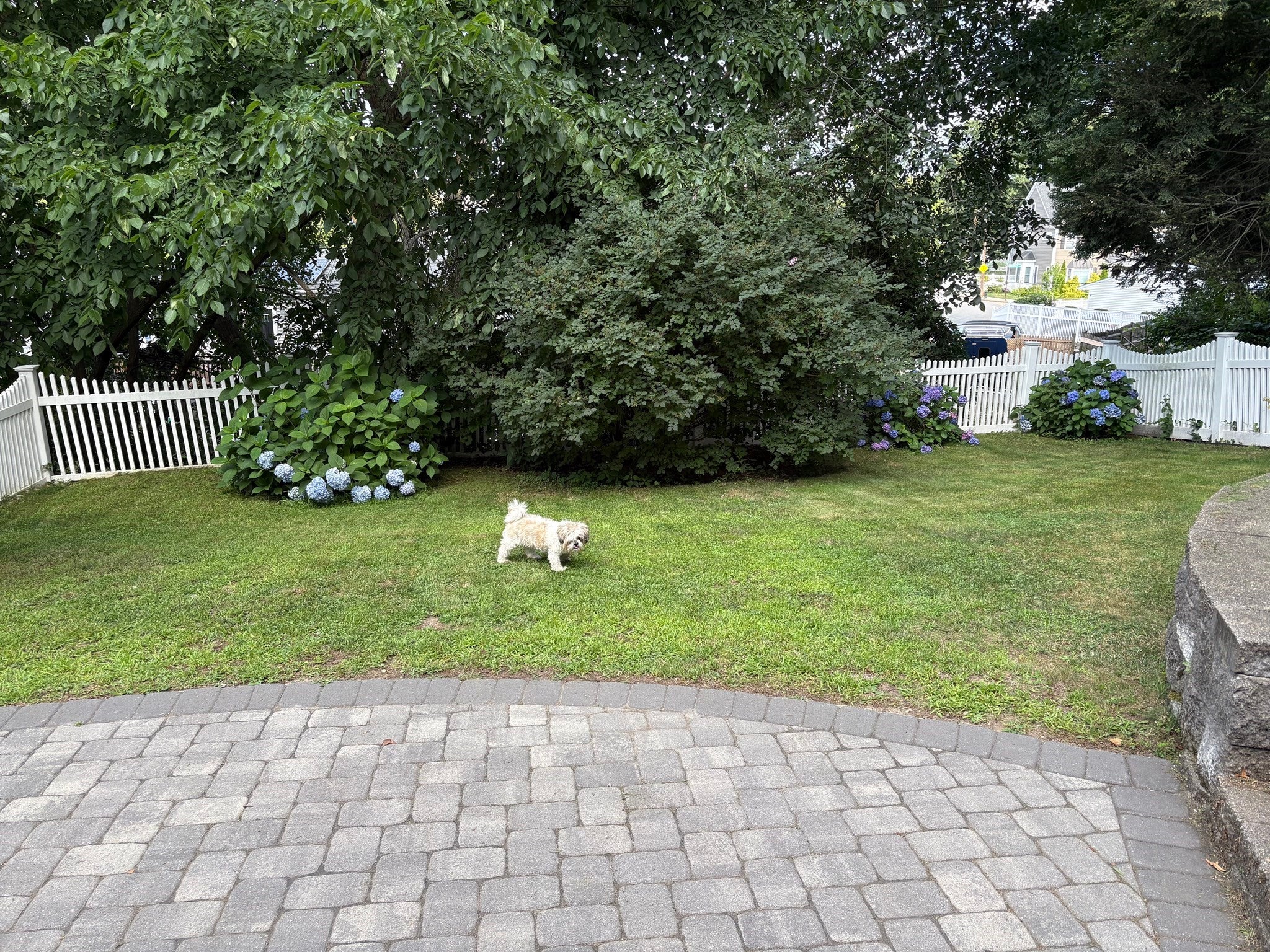 103 Eastwood Circuit #1, Boston, MA Photo #20