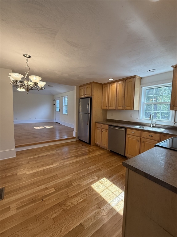 20 Alma Rd