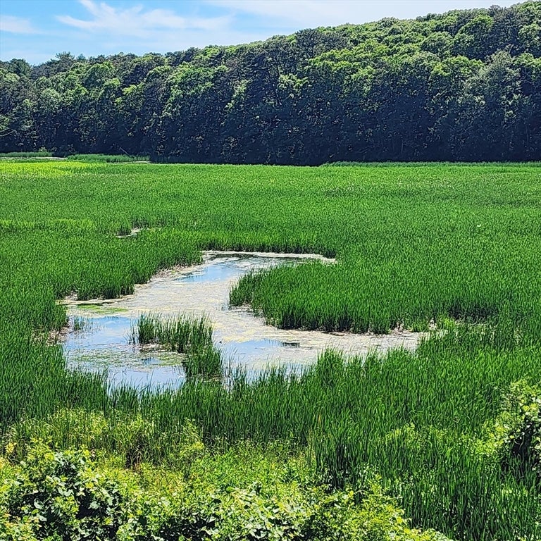 143 Abbey Gate Rd, Barnstable, MA Photo #1