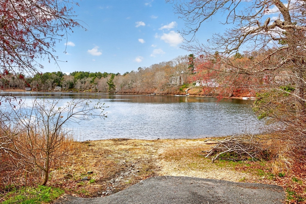 73 Pimlico Pond