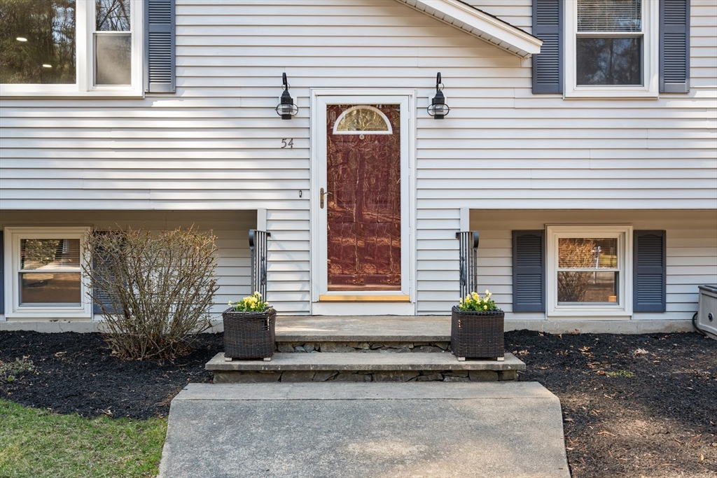 54 Elysium St