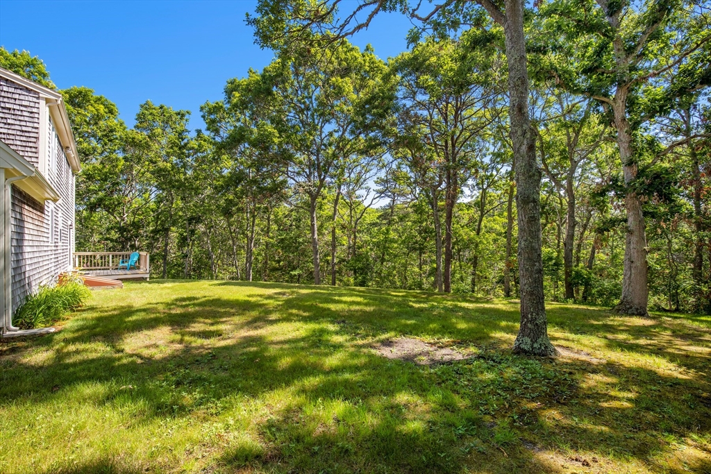 29 Carleton Dr