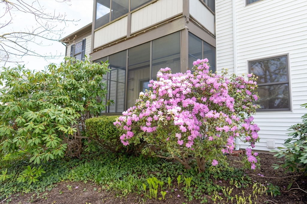 14 Harold St #12B, Harwich, MA Photo #20