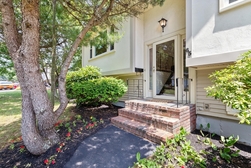 65 Margery Road