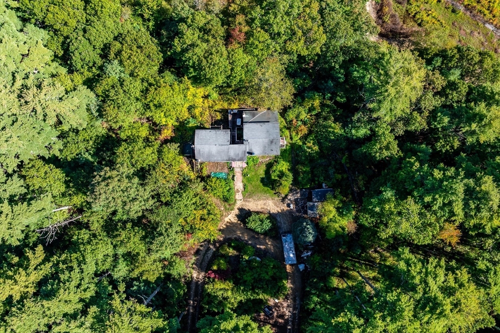 42 Steeplebush Way