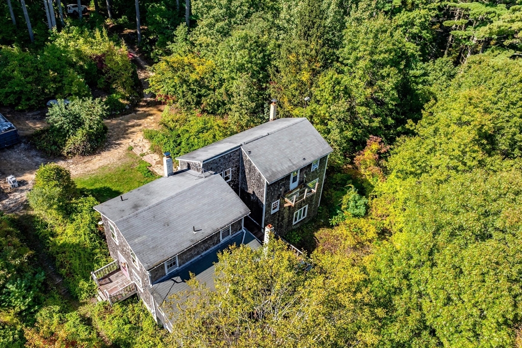 42 Steeplebush Way