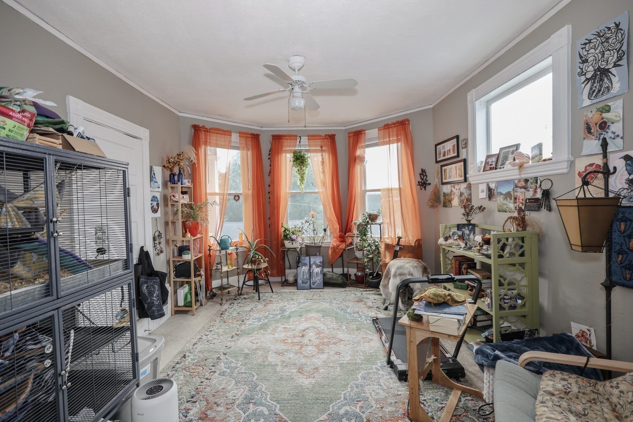 19 Sturgis St, Woburn, MA Photo #12