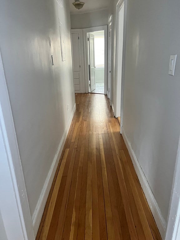 1462 Commonwealth Avenue #2, Boston, MA, 1462 Commonwealth Avenue #2, Boston, MA Photo #8
